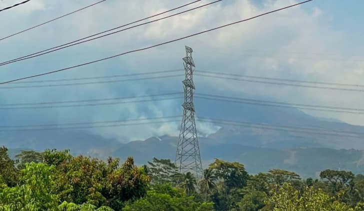 Kebakaran Gunung Ciremai Hanguskan hingga 60 Hektare Lahan, BTNGC Sebut Belum Ada Laporan Satwa Liar Terdampak
