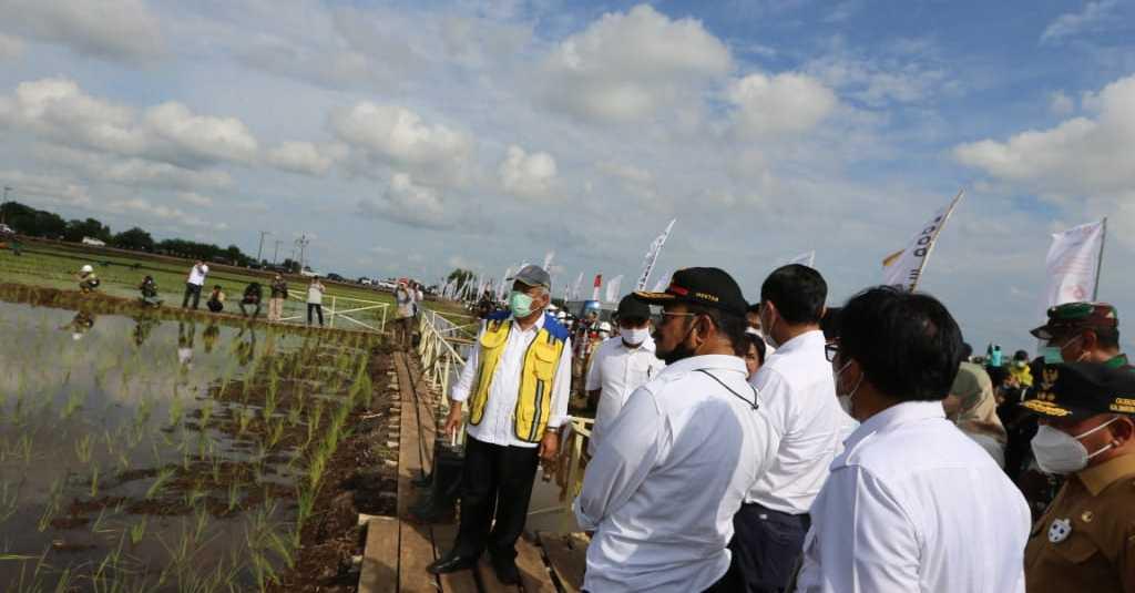 Kementan Maksimalkan Lahan di Dadahup Dukung Food Estate