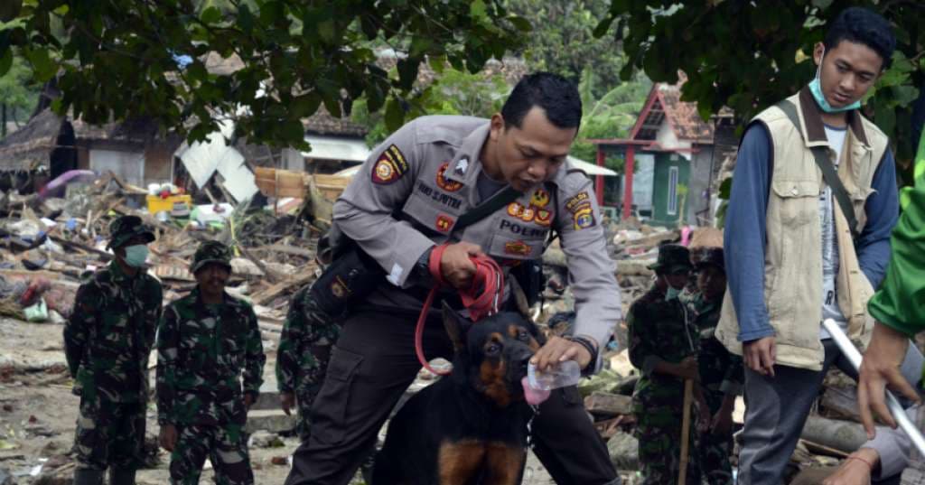 Mabes Polri Kerahkan Enam Anjing Pelacak ke Lokasi Bencana di NTT