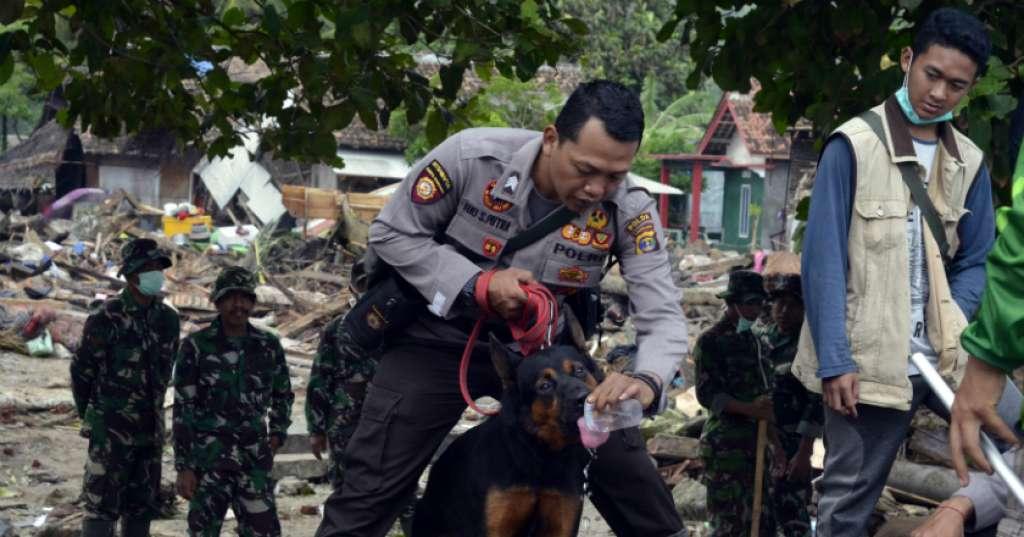 Mabes Polri Kerahkan Enam Anjing Pelacak ke Lokasi Bencana di NTT