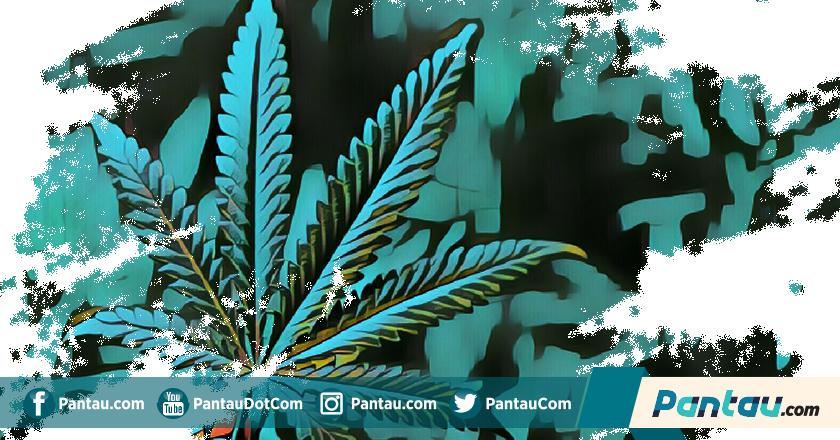 Miris! Pelajar SMA Diciduk Polisi Gara-gara Jadi Kurir Ganja