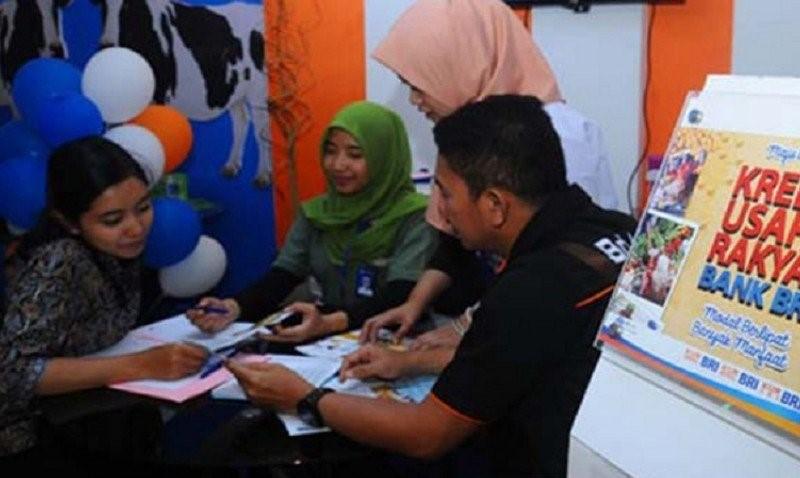 Mayoritas Sektor Produksi, BRI Guyur KUR Rp59,96 Triliun bagi 1,2 Juta Debitur