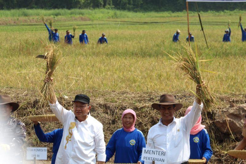 Mentan Ingin Indonesia Jadi Lumbung Pangan Dunia, Beri Ruang Petani Tingkatkan Produksi