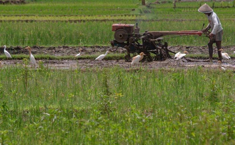 CORE Ungkap Sejumlah Faktor Kritis soal KUR Rp300 Triliun