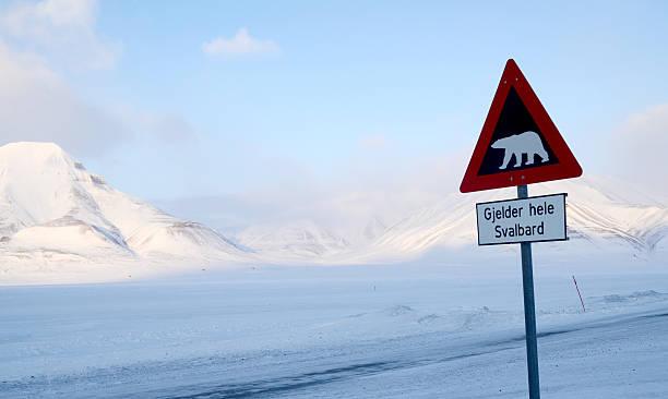 Svalbard: Keindahan Ujung Dunia yang Memikat Petualang Ekstrem di Samudra Arktik