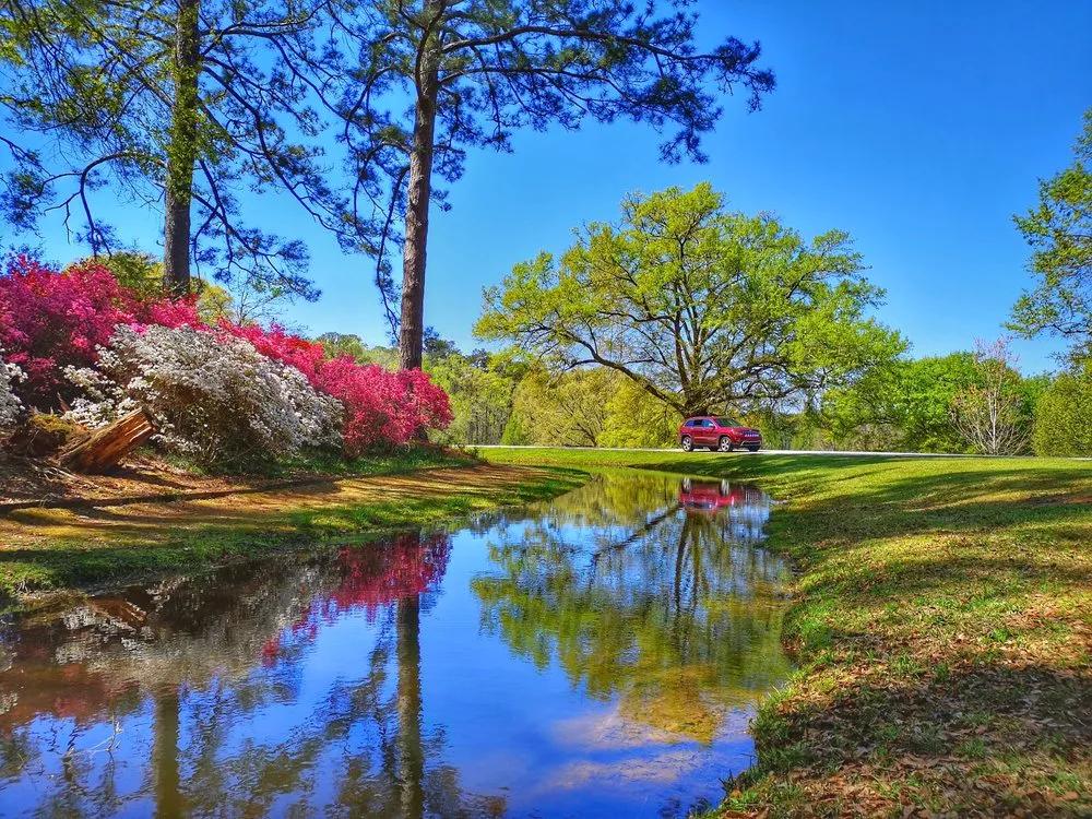 Keindahan Callaway Gardens, Destinasi Alam di Georgia