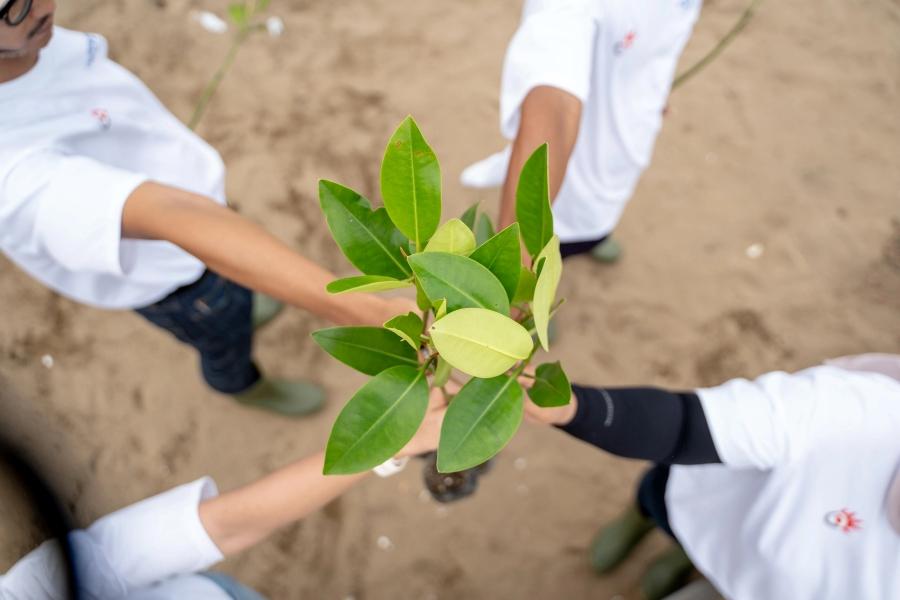 Telkom Dorong Energi Bersih Lewat Aksi Nyata di Hari Bumi