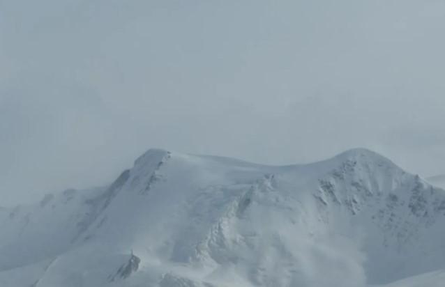 Penelitian di Qinghai-Tibet Tantang Pandangan Umum Soal Resorpsi Unsur Hara di Lingkungan Dingin