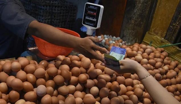 Bapanas Catat Pergerakan Harga Pangan: Telur dan Beras Naik, Daging dan Cabai Rawit Turun