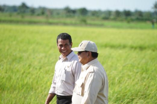 Swasembada di Depan Mata, Kinerja Kementan Bikin Publik Optimis Pangan Nasional Aman