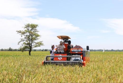 Pakar Pangan Menilai Harga Gabah di Masa Pemerintahan Prabowo Menyenangkan