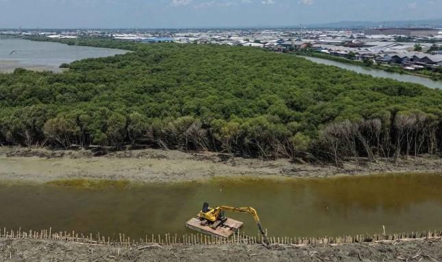 Riset BRIN Ungkap Emisi Karbon Lamun Tertinggi Berasal dari Pesisir Jawa dan Sumatra