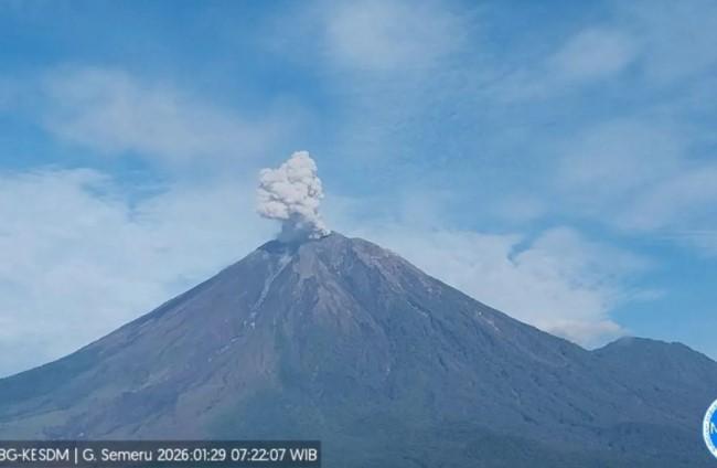 Gunung Semeru Kembali Erupsi, Kolom Abu Mencapai 700 Meter di Atas Puncak