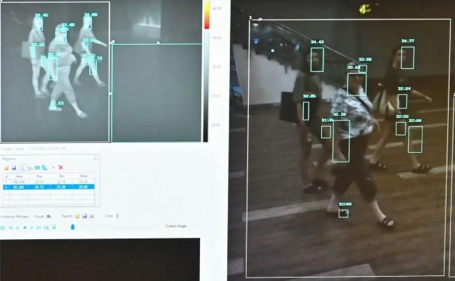 Australia Pantau Ketat Wabah Virus Nipah di Asia Meski Belum Terdeteksi di Negaranya