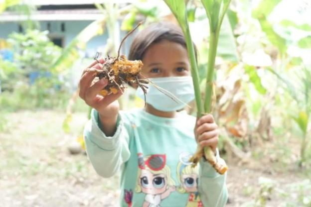 Peneliti BRIN Temukan Bakteri di Tanah Kunyit yang Efektif Lawan Sel Kanker Payudara