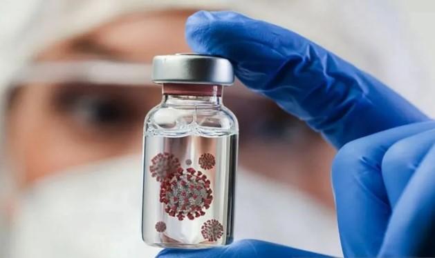 Pakar Ungkap Asal Usul Nama Virus Nipah yang Kembali Jadi Perhatian Dunia