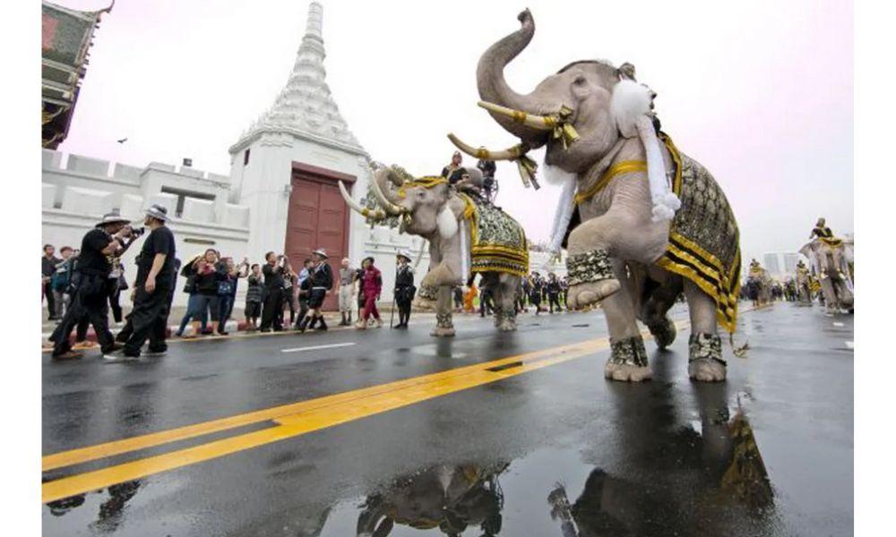 Thailand Gelar Pemilu dan Referendum Konstitusi Serentak, Penentu Arah Demokrasi Pasca Kudeta Militer