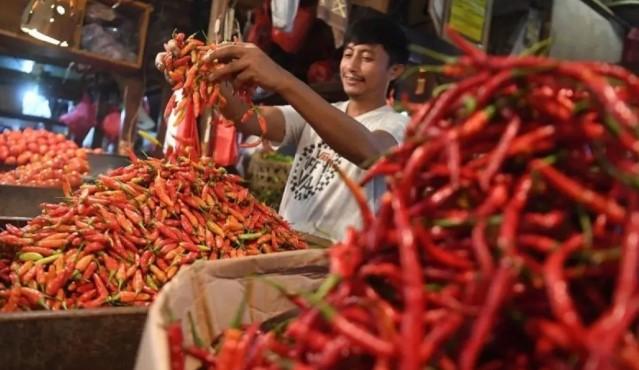 Harga Cabai Rawit Melonjak Tembus Rp63 Ribu, BPS Catat Kenaikan di Lebih dari Separuh Wilayah Indonesia
