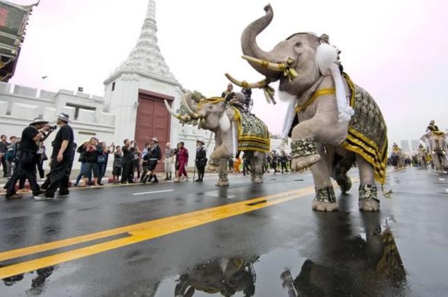 Partai Bhumjaithai Diproyeksikan Unggul di Pemilu Thailand 2026, Referendum UUD Baru Disetujui Mayoritas Pemilih