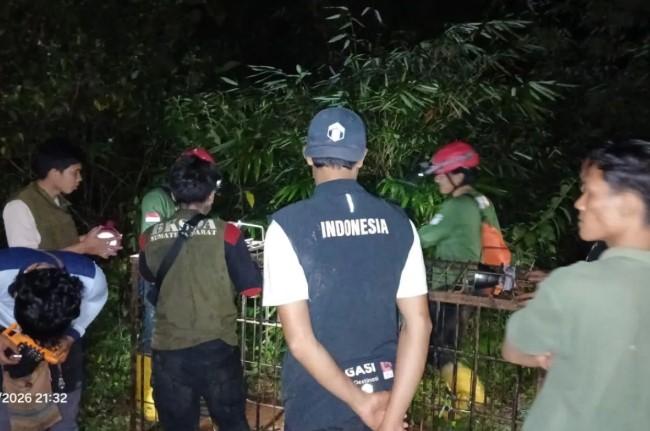 Beruang Serang Tiga Warga, BKSDA Sumbar Pasang Kandang Jebak di Talamau