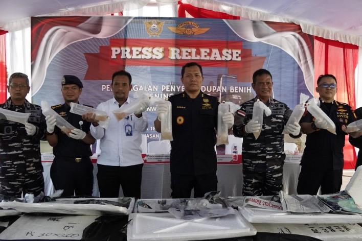 Bea Cukai Gagalkan Penyelundupan 129.965 Benih Bening Lobster di Perairan Batam