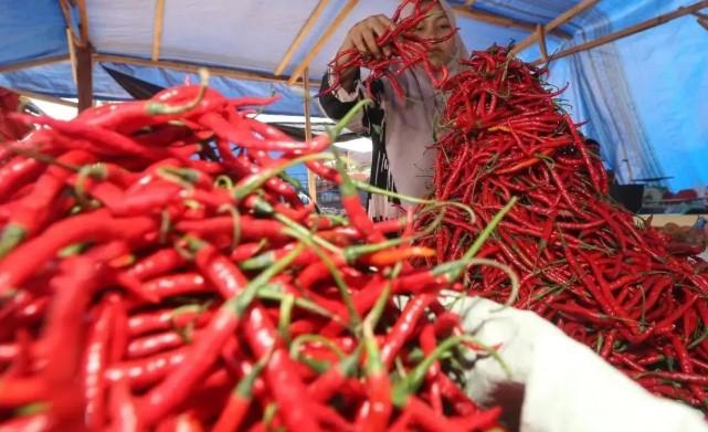 PIHPS Catat Harga Cabai Rawit Rp65.750 per Kg dan Daging Ayam Rp31.950 per Kg di Pasar Nasional