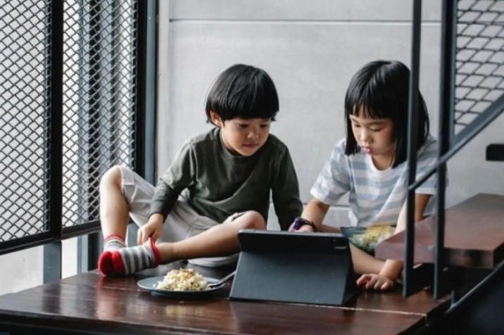 Turki Siapkan Larangan Media Sosial bagi Anak di Bawah 15 Tahun, Platform Wajib Verifikasi Usia