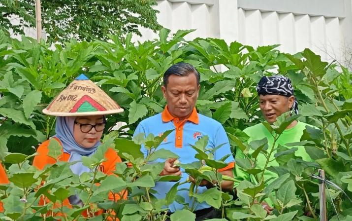 Pemkot Jakarta Timur Imbau Petani Atur Pola Tanam Hadapi Ancaman Kemarau Panjang