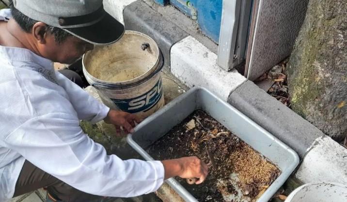 Menteri LH Ajak Masyarakat Disiplin Pilah Sampah Demi Sukseskan Program PSEL