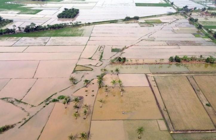 Satgas PRR Percepat Rehabilitasi Puluhan Ribu Hektare Sawah Terdampak Bencana di Sumatera