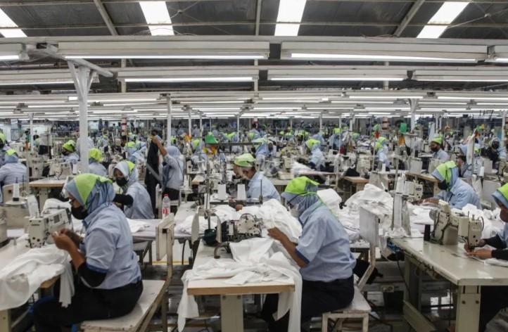 Ekonom Ingatkan Insentif Padat Karya Jangan Hambat Investasi Teknologi Masa Depan