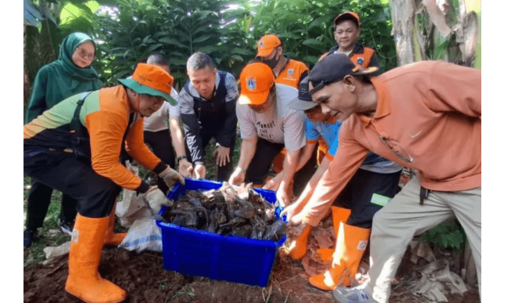 Bayer Leverkusen Raih Kemenangan Penting atas Koln, Persaingan Papan Atas Bundesliga Makin Ketat