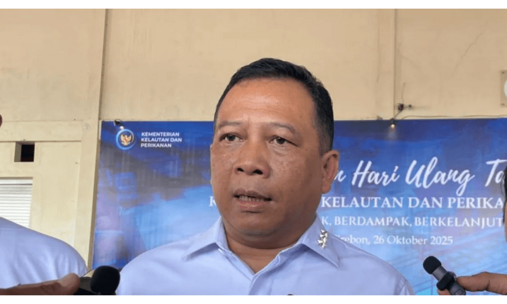 KKP Tegaskan Kapal di Merauke Bukan Gunakan Trawl, Operasional JHUB Dibatasi Ketat