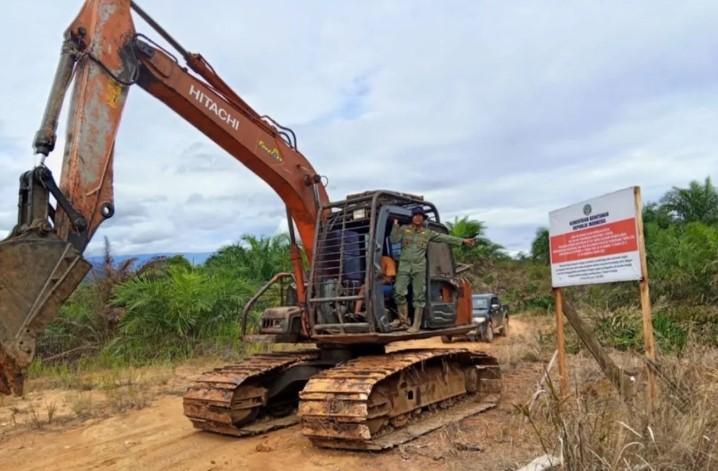 Kemenhut Tetapkan Tersangka Perambahan Hutan Seblat, Kebun Sawit Ilegal 30 Hektare Terbongkar