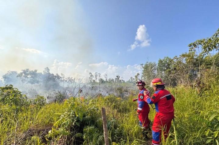BNPB Pastikan Karhutla di Kaltim dan Kalsel Berhasil Dipadamkan dalam Dua Hari Terakhir