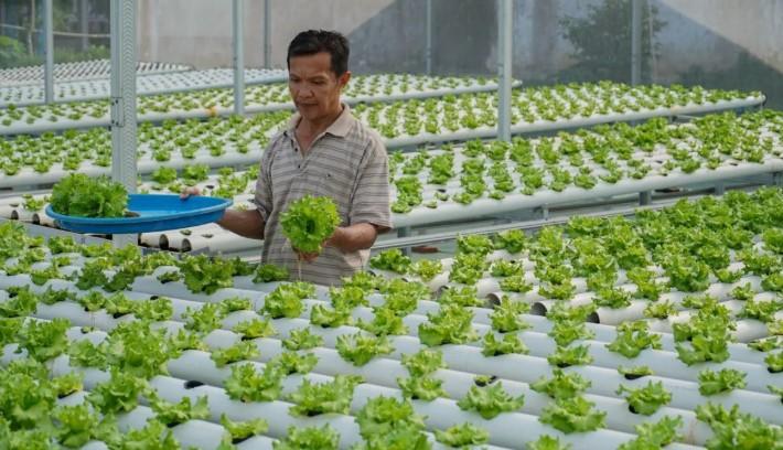 DPR Minta Pemerintah Perkuat Mitigasi Hadapi Ancaman “El Nino Godzilla”