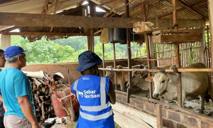 Human Initiative Luncurkan Program Flash Sale Qurban 2026, Tawarkan Kurban Terjangkau untuk Masyarakat