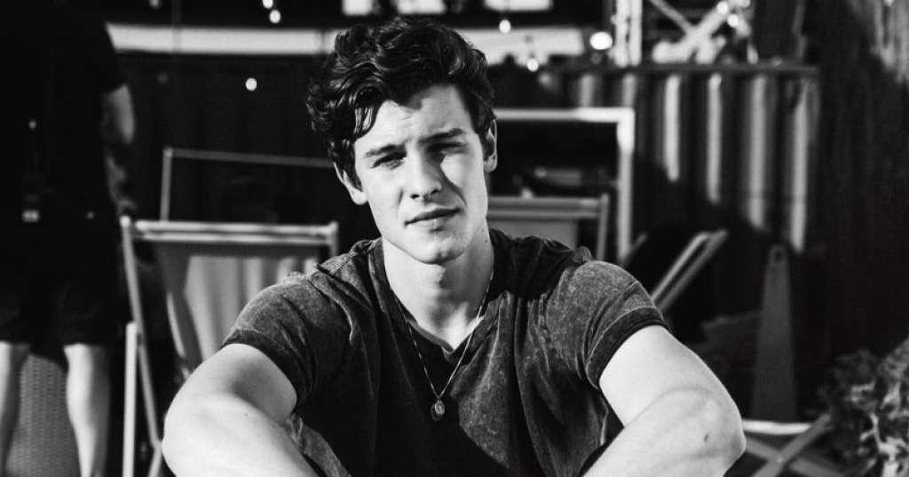Tenang, Penonton Berkursi Roda Dapat Menonton Konser Shawn Mendes