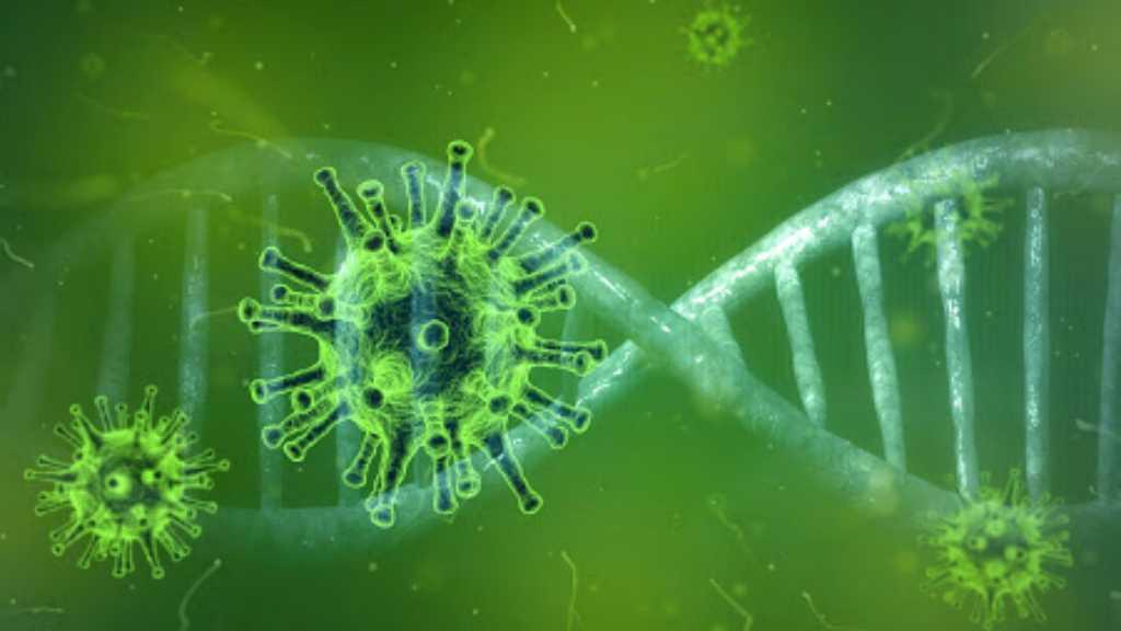 2 WNI Positif Korona, PDEI Sarankan Pemerintah Lakukan Hal Penting Ini