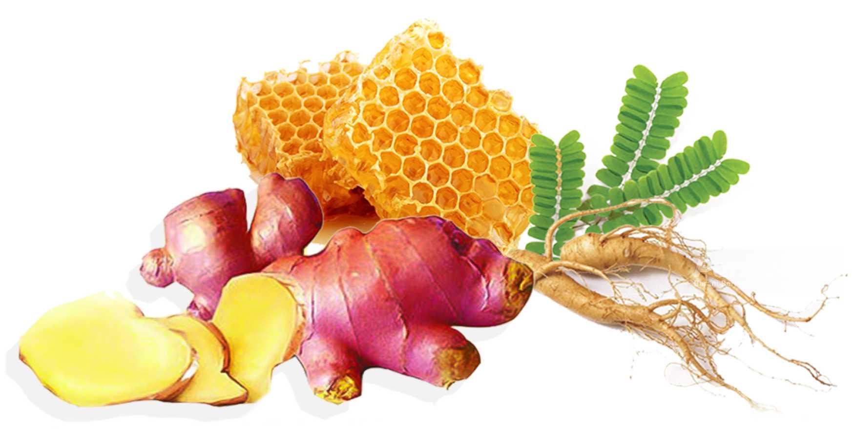 Tingkatkan Imunitas Tubuh di Bulan Puasa dengan Manfaatkan Bahan Herbal