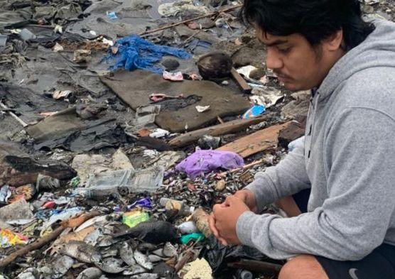 Ribuan Ikan di Pantai Sasa Ternate Mati gegara Tercemar Limbah Organik