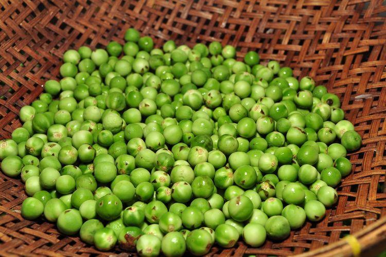 Ini Dia 11 Manfaat Buah Takokak yang Perlu Anda Ketahui