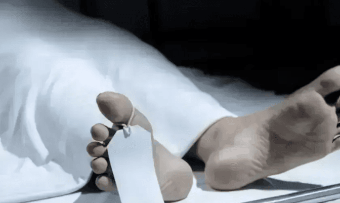 Lagi Panen Merica, Petani di Kulon Progo Ditemukan Tewas usai Jatuh dari Pohon Duku 12 Meter