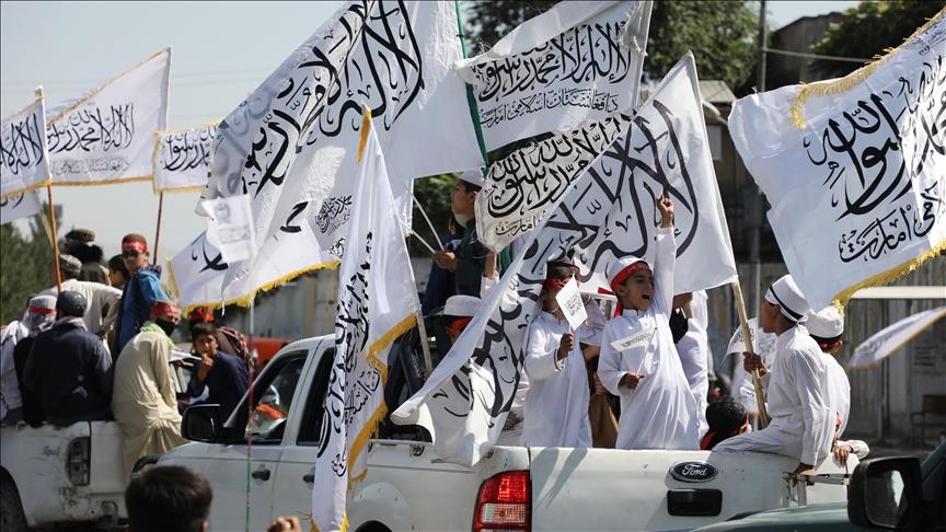 Lembaga Think Tank: Kebijakan Narkotika Taliban bisa Stabilkan Ekonomi Afghanistan