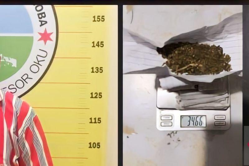 Polisi Tangkap Bandar Narkoba di OKU, 9 Paket Ganja Kering Siap Edar Disita