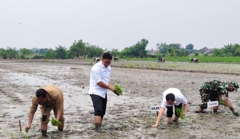 Begini Cara Wamen Pertanian Sudaryono Serap Aspirasi Petani di Klaten