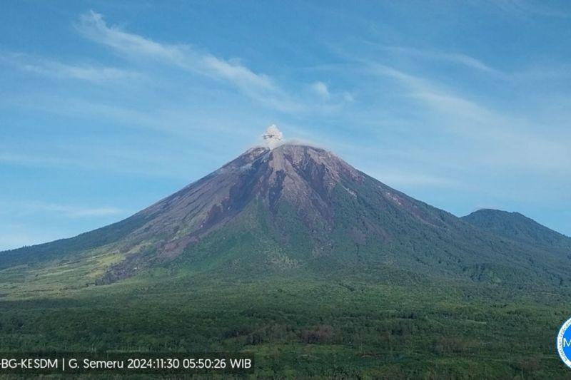 Waspada! Gunung Semeru Kembali Erupsi Pagi Ini