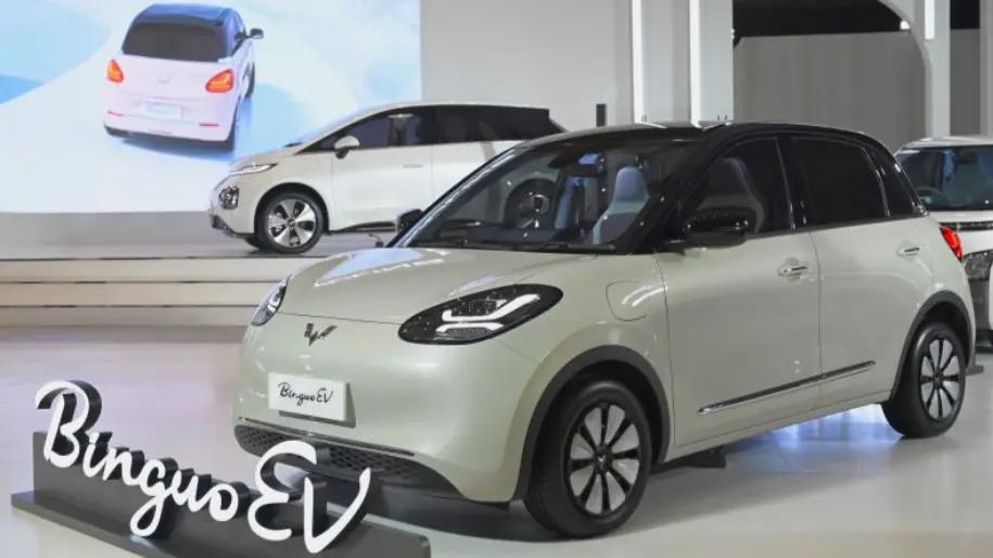 Punya Harta Capai Rp24 M, Ternyata Isi Garasi Wamen Veronica Tan Cuma Ada 2 Mobil