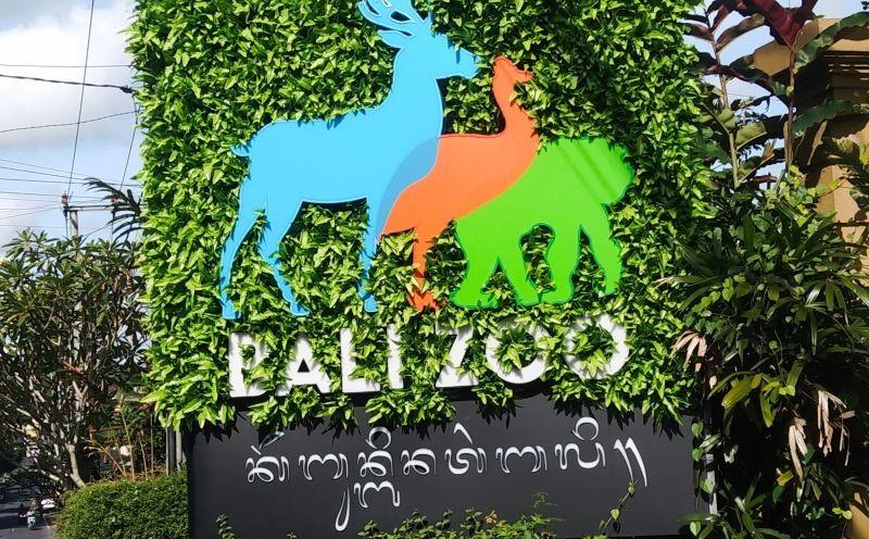 Libur Isra Mikraj-Imlek Pacu Lonjakan Pengunjung Bali Zoo 100 Persen