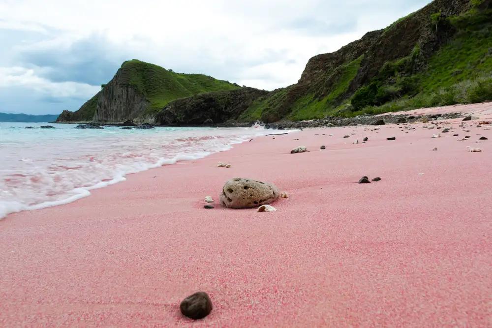 Pink Beach, Pesona Pasir Pink yang Memukau di Labuan Bajo